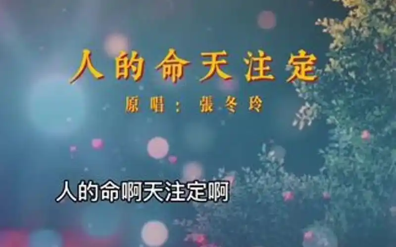 "人的命天注定,何不潇洒度人生