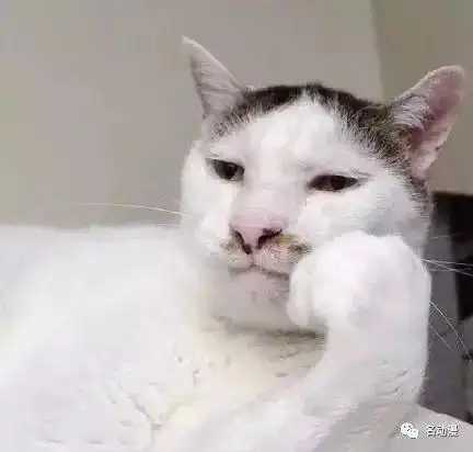 各种托腮二次元少女文末附托腮画法小教程