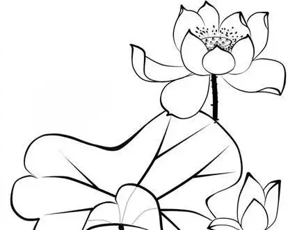 秋天的曲院风荷美景简笔画