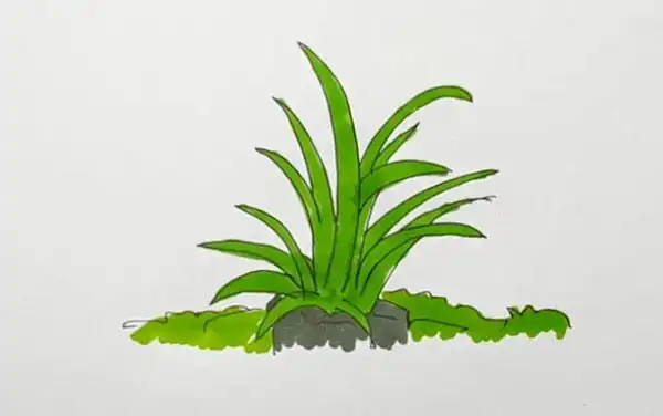草丛简笔画怎么画草丛的简笔画步骤图解教程