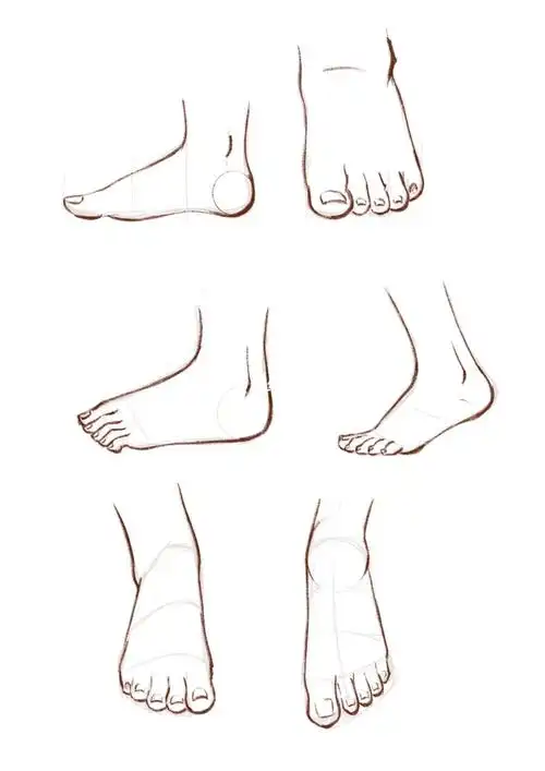 我是原创插画师  #速写  #脚的画法