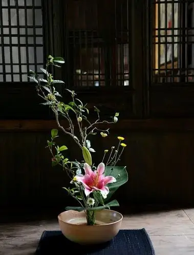 花道里的禅意插花—— 一场花与禅的邂逅!