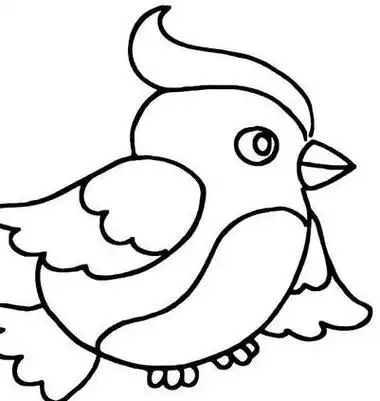 strong>简笔画 /strong>超级好看的小鸟简笔画教程一步一步教你画