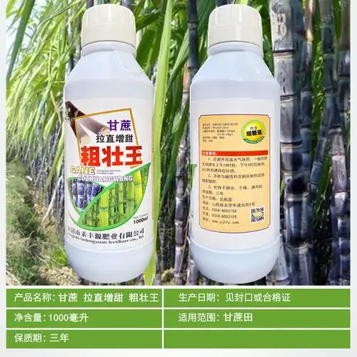 甘蔗拉直增甜粗壮拉长膨大增加甜度补充营养叶面肥