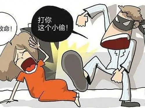 打伤正在进行盗窃的小偷需要负法律责任吗