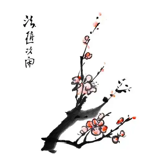 国画,李子,花,白色背景