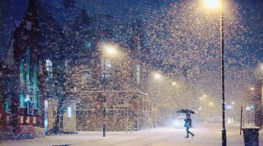 你下雪或是不下雪我的心就在那里想你念你阳光语录