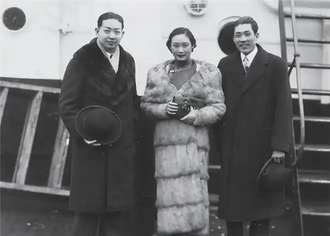 这组珍藏的照片,美得令人移不开眼|蝴蝶|戴笠_网易订阅