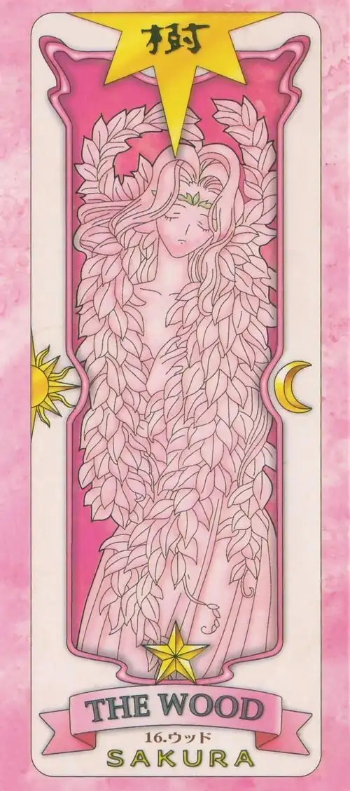 水牌和树牌-魔卡少女樱之我也有魔法了-话本小说网