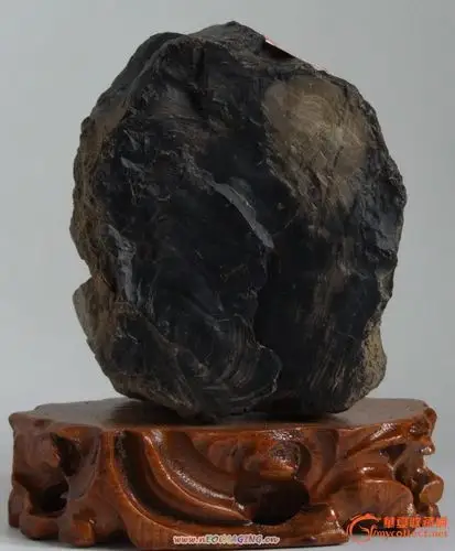 天然树化黑玛瑙 —— 木化石