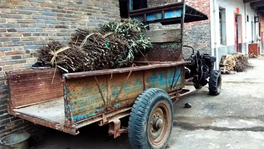 回乡路上忆春节关于鸡汤米粉水饺和手扶拖拉机