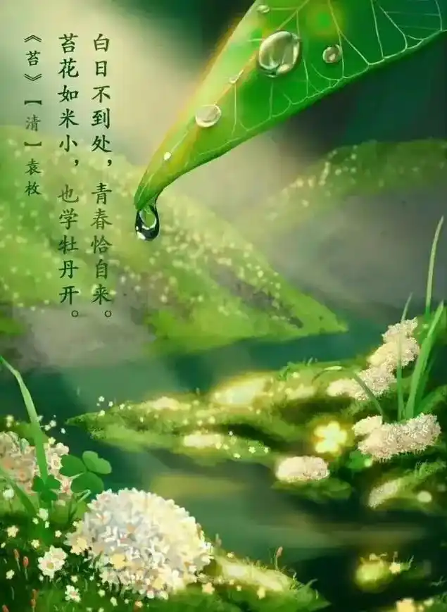 苔花如米小,也学牡丹开.】清·袁枚 - 抖音