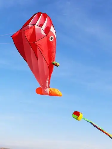 风筝大人专用大号网红个性3d女生级大型动物软体可爱立体 橘色海豚16