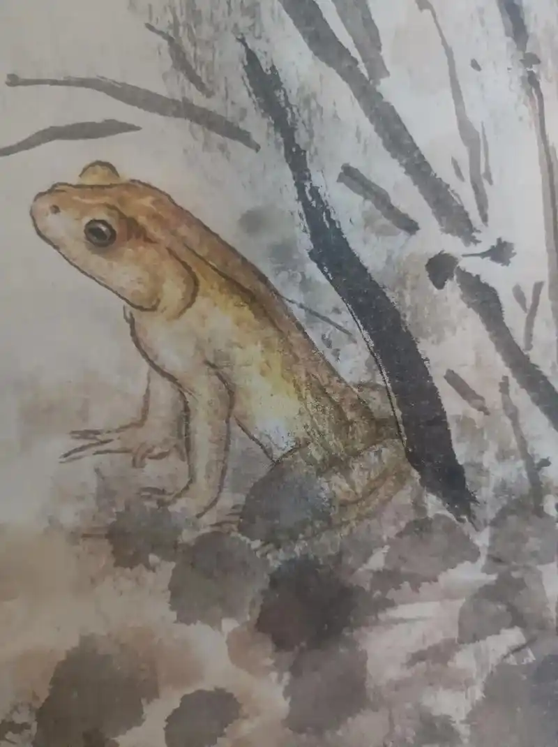 发现金哇#林良洪 #全国消防宣传月 #国画 #金蟾  - 抖音