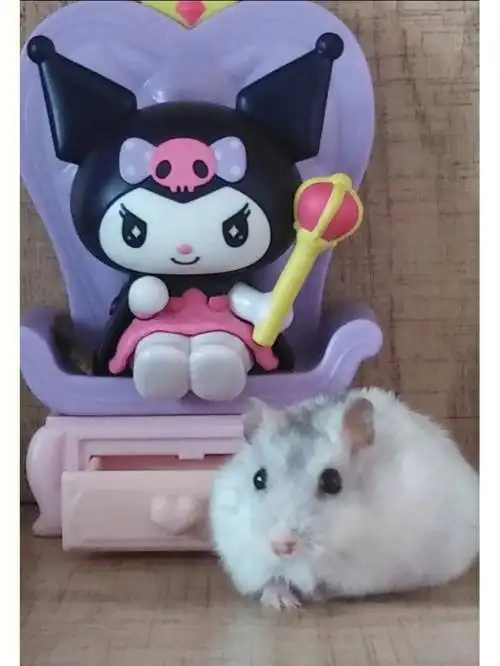 如果你们是五,六年级的.