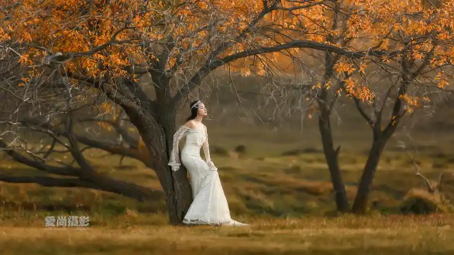 唯美人像摄影视觉群01期摄影作品展