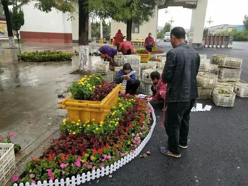 南门外两侧花坛摆放