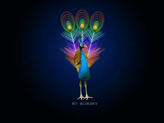 photoshop制作 孔雀开屏动画