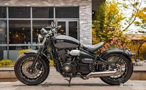 它因其独特的外观和出色的性能而受到广大摩托车爱好者的喜爱