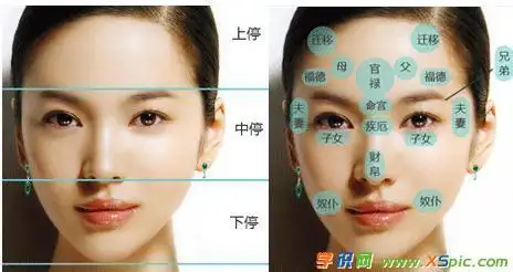 川字纹的女人面相相学解析