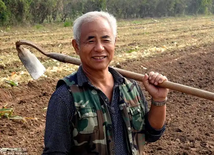 在田间干活的农民