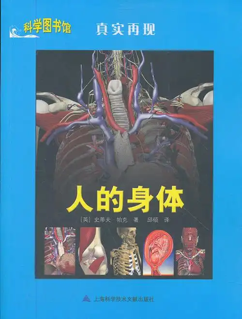 人的身体词条图册_百度百科