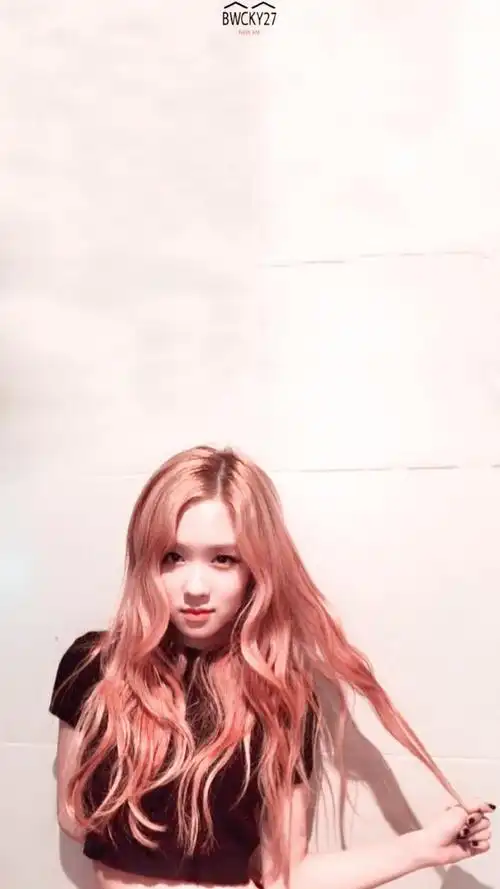 blackpink 仙女rose