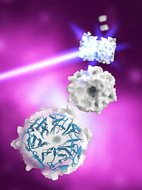 蛋白质,分子,电脑,模型,展示,光线,上面,建筑,紫色,带,仰视,植物,责任