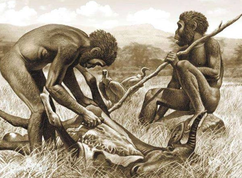 南方古猿为什么是人不是猿?_酷知经验网