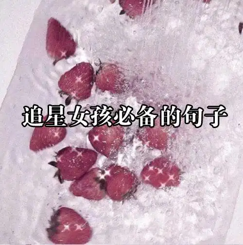 追星女孩必备的句子