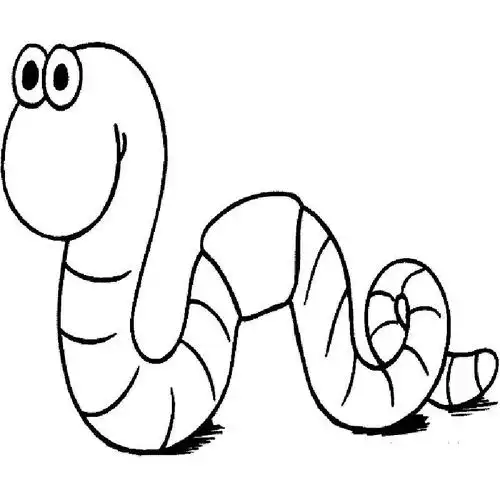 《蚯蚓狂想曲》——新世纪幼儿园创意美术绘画学前二班