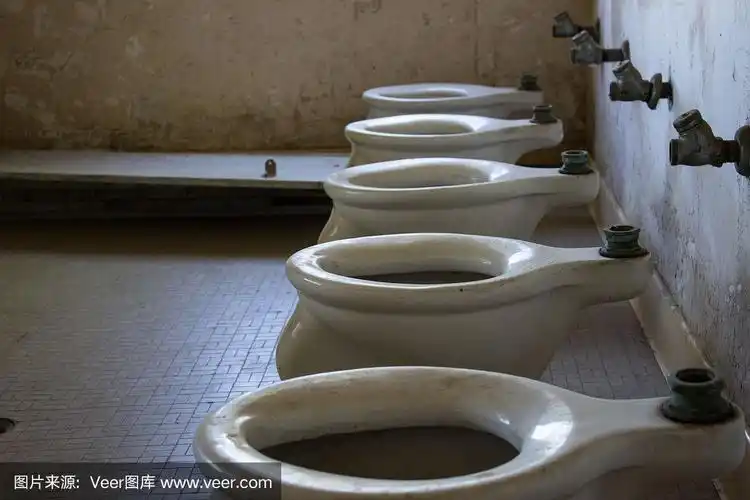 旧建筑中的一排厕所.