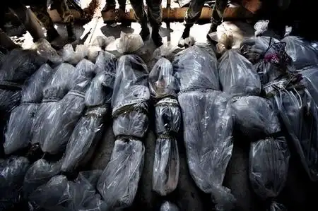 图文尸体排成排