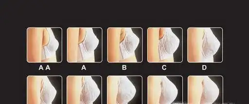 01,aa罩杯:低于10cm,胸部特别平坦.