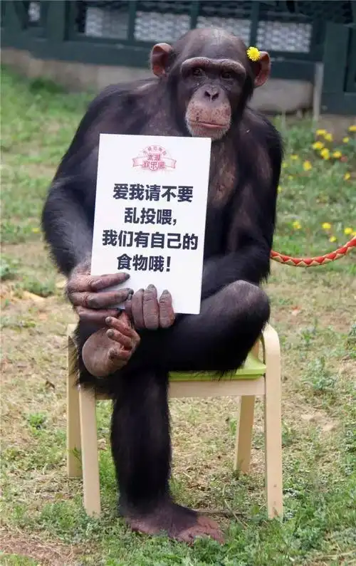 园,几乎每个动物展区都能看到提醒游客不要随意给动物喂食的宣传牌