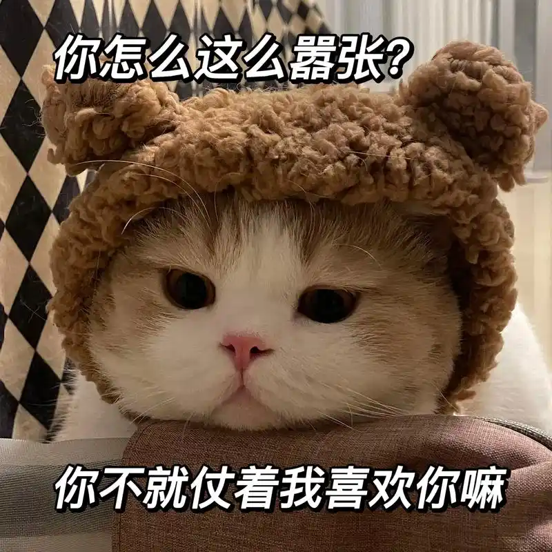 我可是很抢手的哦#发给对象表情包 #表情包 #猫咪表情包 # - 抖音