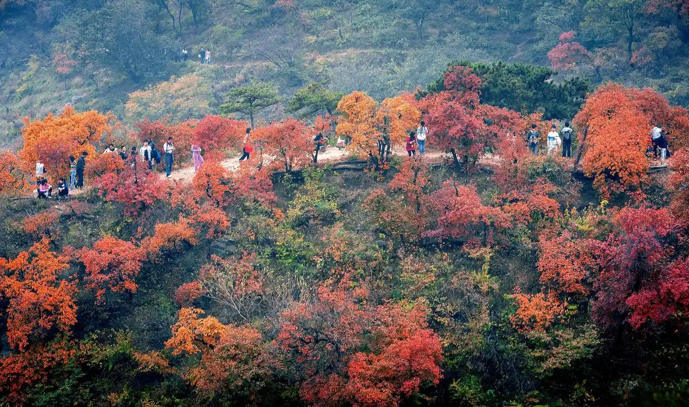 自然与文化的交融之地 香山,位于北京市海淀区,是一座历史悠久,风景