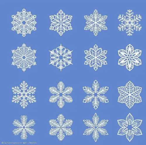精美雪花图案矢量素材