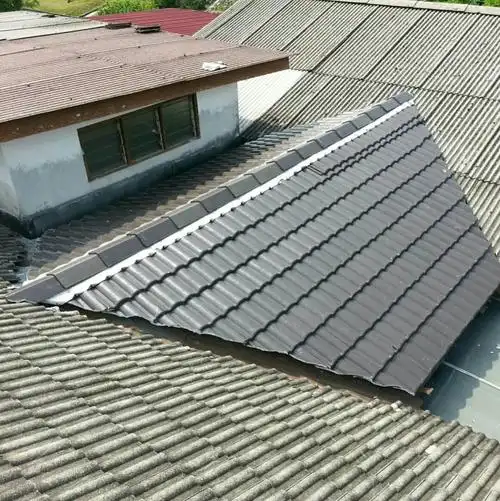 roofing and plumbing specialist 专修屋顶漏水和水喉工程