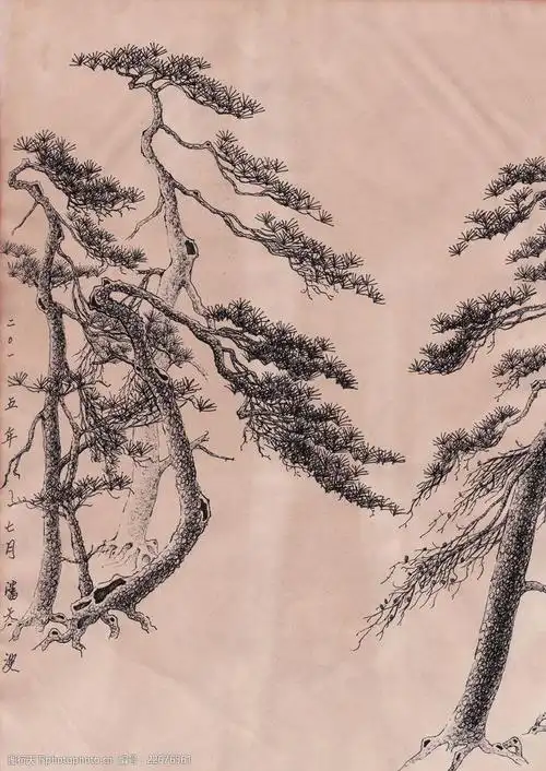 松树潘天波作品