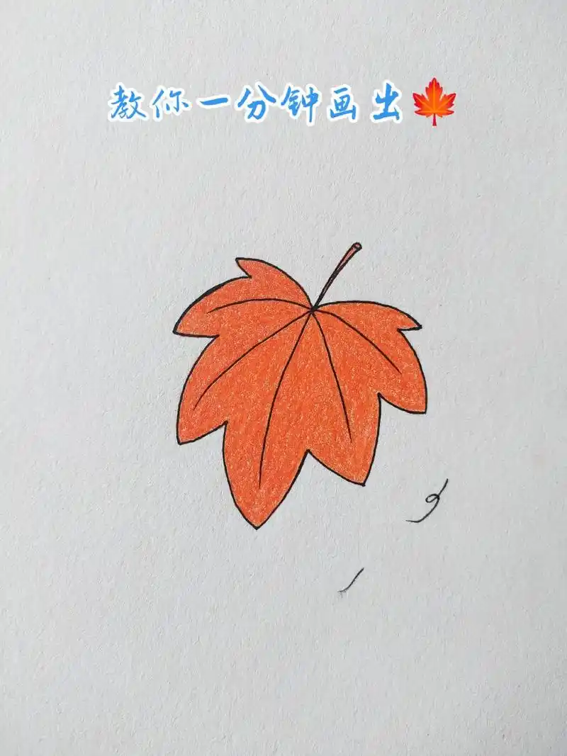 超级简单的枫叶简笔画教程.