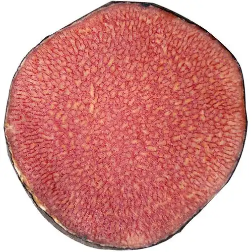 血三七红药子血母红孩儿鸡血莲朱砂七野生500克现挖新鲜薯莨包邮