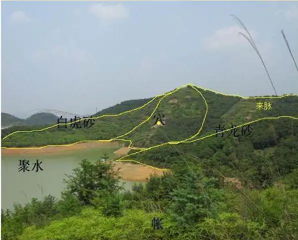 三纲指气脉,明堂,水口,五常指龙,穴,砂,水,向.