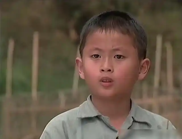 演员|杨峻荣|郑丰喜_网易订阅