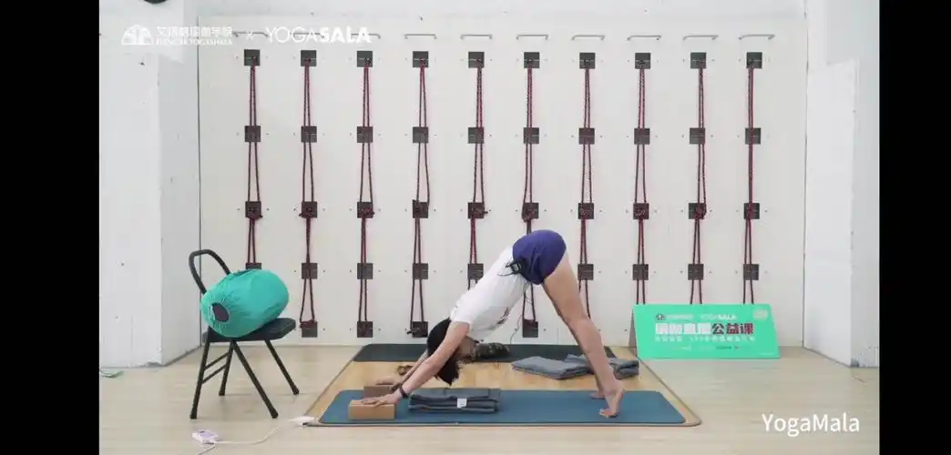 (第5部)艾扬格瑜伽免费公开课 (2020-19/22) 写美篇2  手臂上举式 山