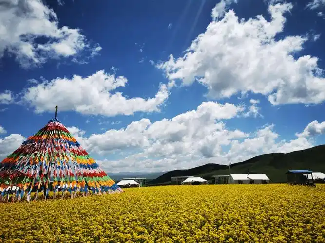 金银滩草原是国家4a级旅游景区,位于青海省海晏县境内.