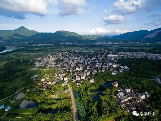 航拍|坪上镇五联村,美的让你认不出!