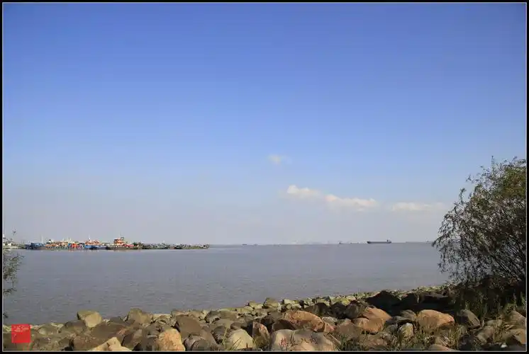 长江入海口秋韵正浓.