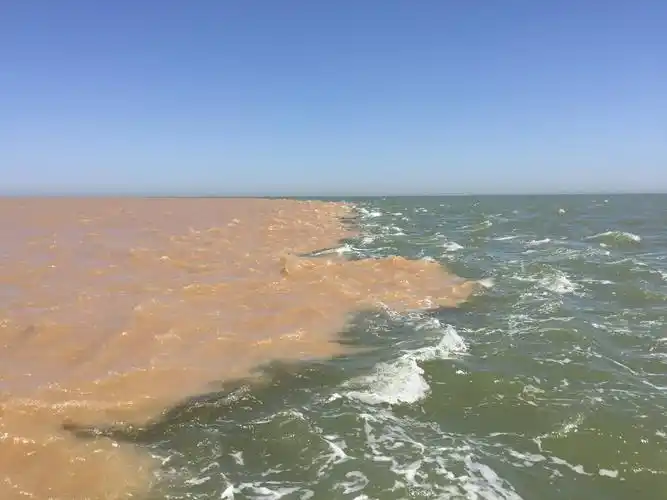 黄河入海口 - 美篇