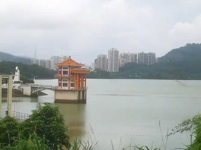 广东省深圳市罗湖区东湖街道深圳水库天气预报